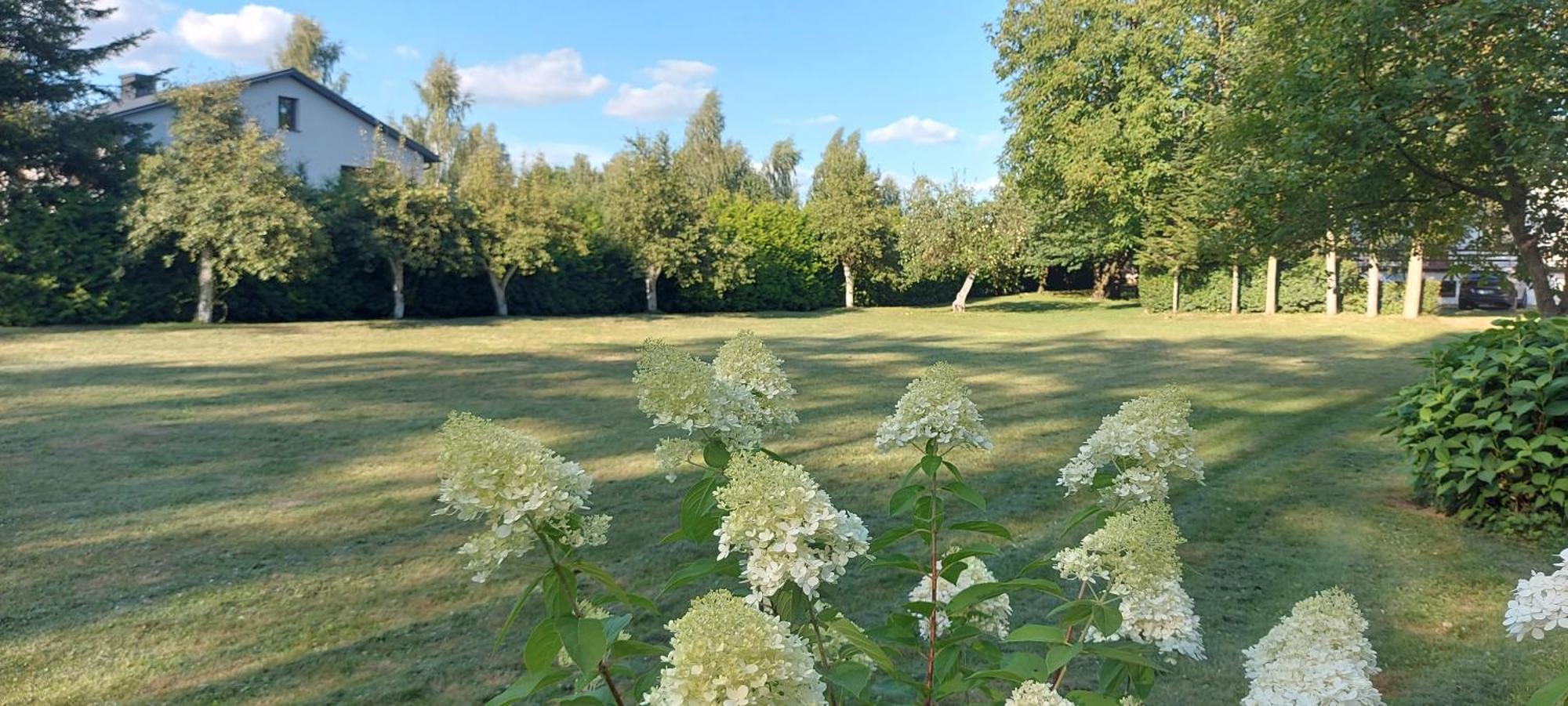 Pokoje Goscinne Stokrotka Nałęczów Eksteriør bilde